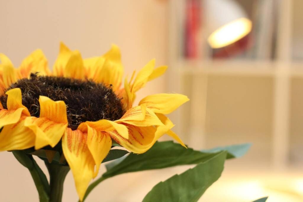 Fast Friend - Cozy Apartment In The Center With Private Garage 里耶卡 外观 照片