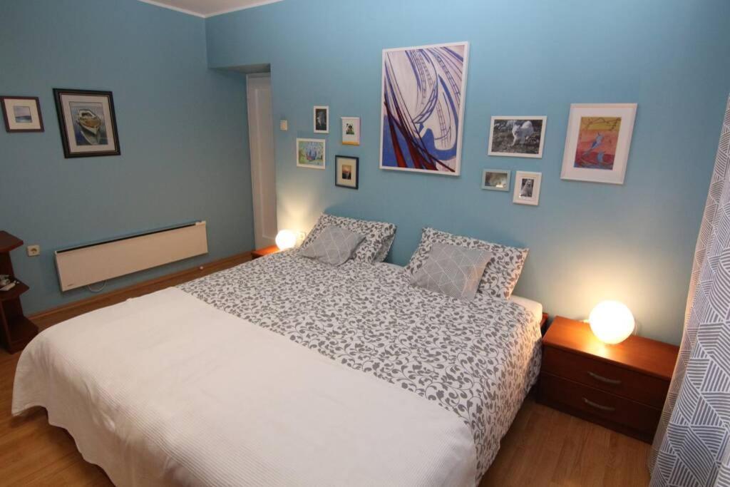 Fast Friend - Cozy Apartment In The Center With Private Garage 里耶卡 外观 照片
